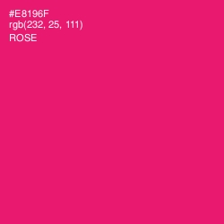 #E8196F - Rose Color Image