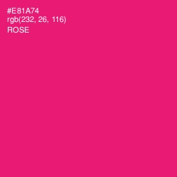 #E81A74 - Rose Color Image