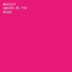 #E81A77 - Rose Color Image