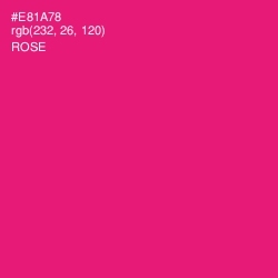 #E81A78 - Rose Color Image