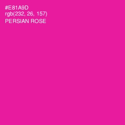 #E81A9D - Persian Rose Color Image