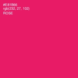 #E81B66 - Rose Color Image