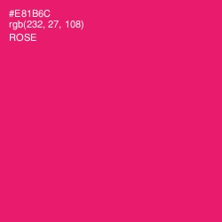 #E81B6C - Rose Color Image