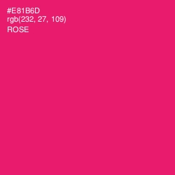 #E81B6D - Rose Color Image