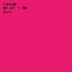 #E81B6E - Rose Color Image