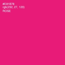 #E81B78 - Rose Color Image