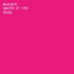 #E81B7D - Rose Color Image