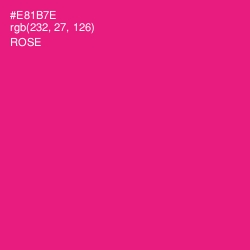 #E81B7E - Rose Color Image