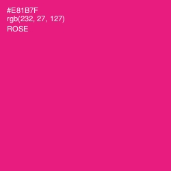 #E81B7F - Rose Color Image
