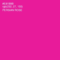 #E81B9B - Persian Rose Color Image