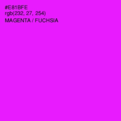 #E81BFE - Magenta / Fuchsia Color Image