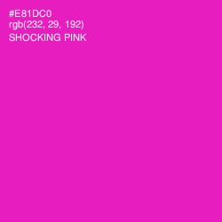 #E81DC0 - Shocking Pink Color Image