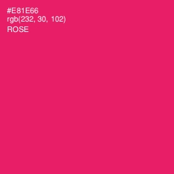 #E81E66 - Rose Color Image