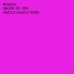 #E820E2 - Razzle Dazzle Rose Color Image