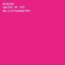 #E82284 - Wild Strawberry Color Image
