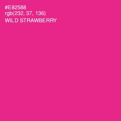 #E82588 - Wild Strawberry Color Image