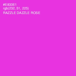 #E833E1 - Razzle Dazzle Rose Color Image