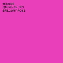 #E840BB - Brilliant Rose Color Image