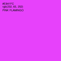 #E841FC - Pink Flamingo Color Image