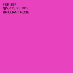 #E842BF - Brilliant Rose Color Image