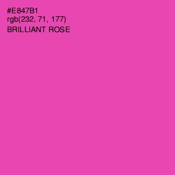#E847B1 - Brilliant Rose Color Image