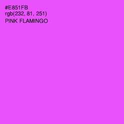 #E851FB - Pink Flamingo Color Image