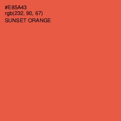 #E85A43 - Sunset Orange Color Image