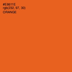 #E8611E - Orange Color Image