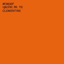 #E8630F - Clementine Color Image