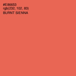 #E86653 - Burnt Sienna Color Image