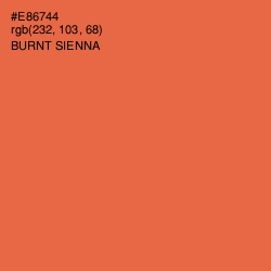 #E86744 - Burnt Sienna Color Image