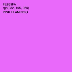 #E869FA - Pink Flamingo Color Image