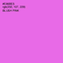 #E86BE5 - Blush Pink Color Image