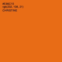 #E86C15 - Christine Color Image