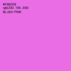 #E86DE6 - Blush Pink Color Image