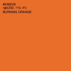 #E86E29 - Burning Orange Color Image