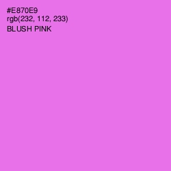 #E870E9 - Blush Pink Color Image