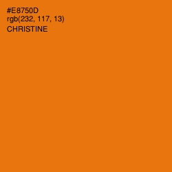 #E8750D - Christine Color Image