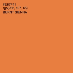 #E87F41 - Burnt Sienna Color Image