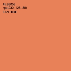 #E88058 - Tan Hide Color Image
