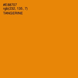 #E88707 - Tangerine Color Image