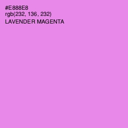 #E888E8 - Lavender Magenta Color Image