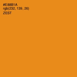#E88B1A - Zest Color Image