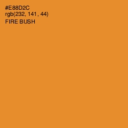 #E88D2C - Fire Bush Color Image