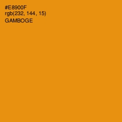 #E8900F - Gamboge Color Image