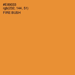 #E89033 - Fire Bush Color Image