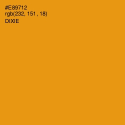 #E89712 - Dixie Color Image