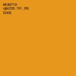 #E8971D - Dixie Color Image