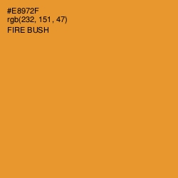 #E8972F - Fire Bush Color Image