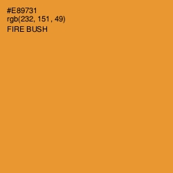 #E89731 - Fire Bush Color Image